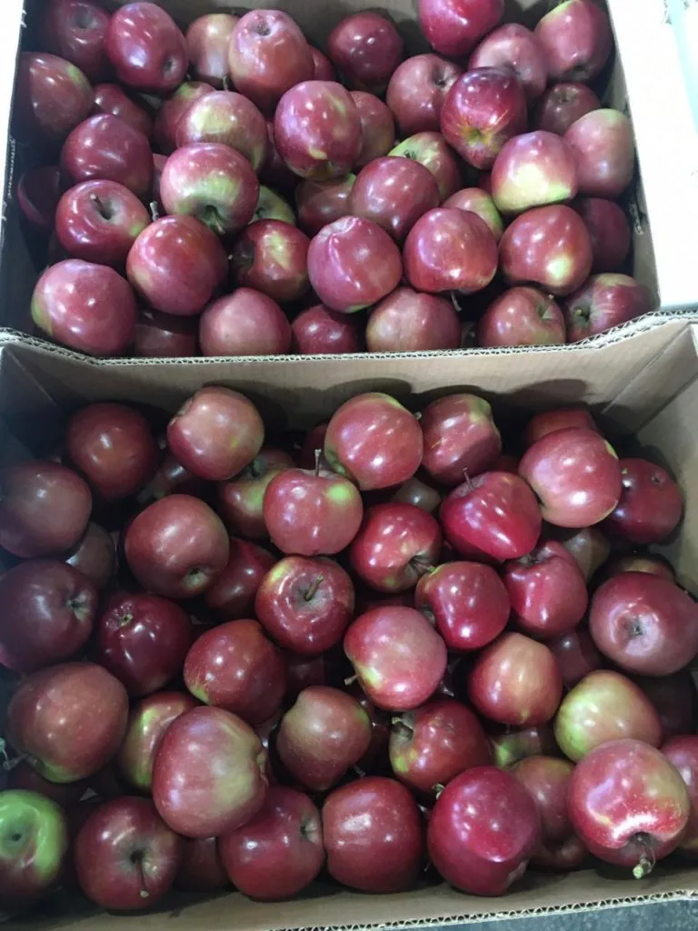 продаем яблоки 1 сортов в Краснодаре