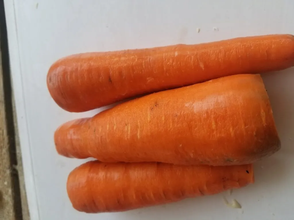 морковь в Краснодаре 2