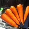 морковь в Краснодаре