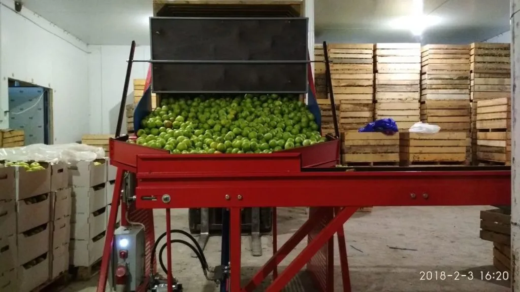 машина для калибровки яблок (Россия) в Краснодаре 4
