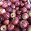 яблоки оптом Джеромини в Краснодаре