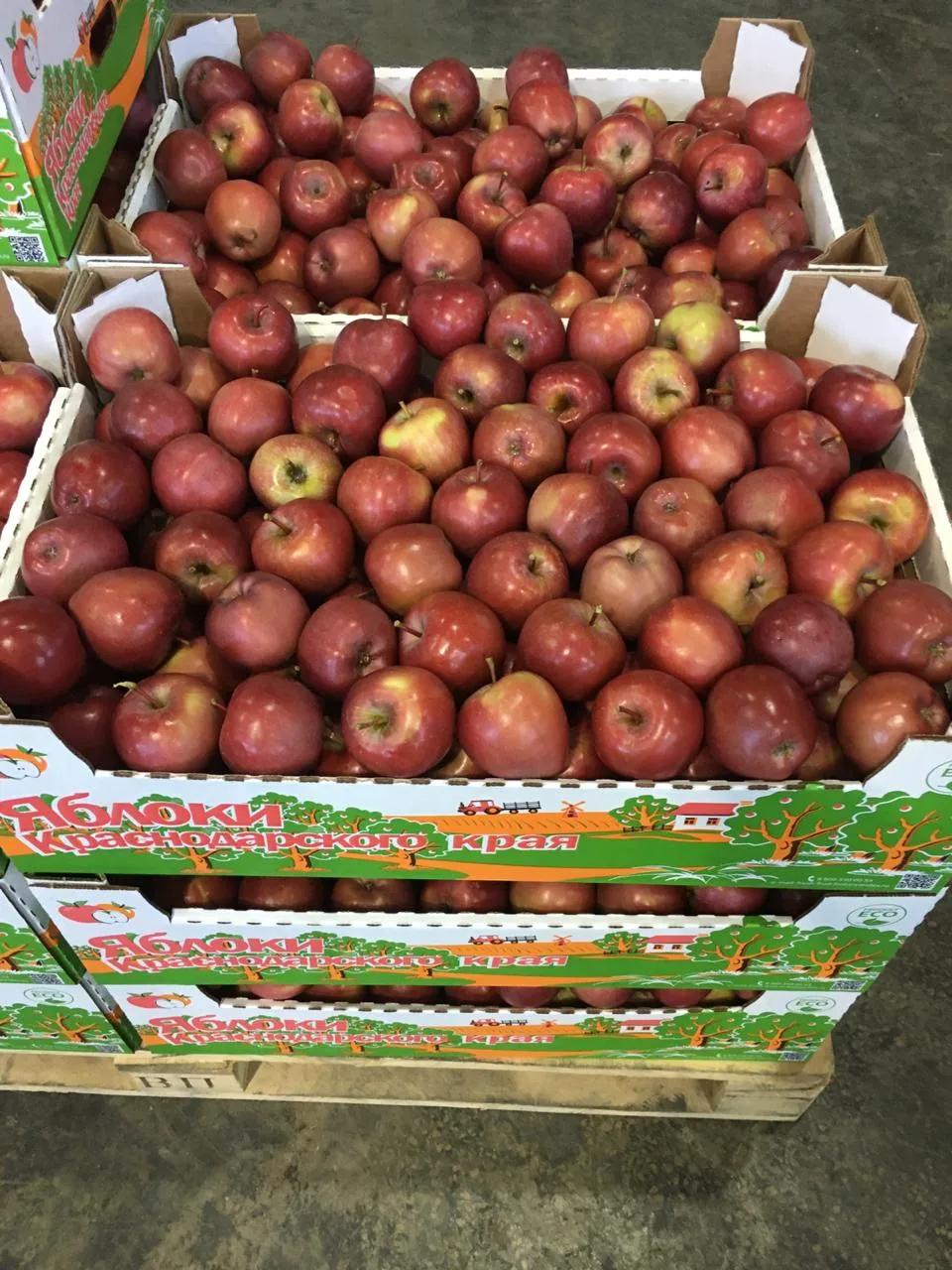 яблоки оптом Джеромини в Краснодаре 2