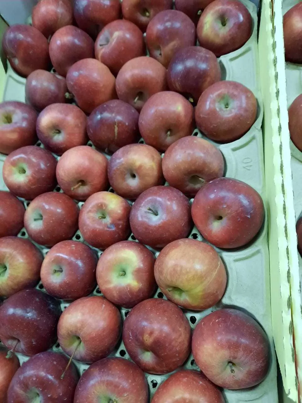 яблоки оптом Пермь в Анапе