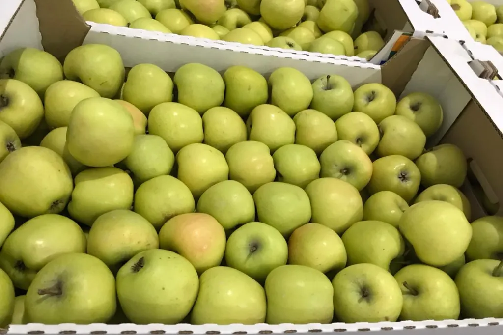 яблоки ОПТОМ в Краснодаре в Краснодаре и Краснодарском крае