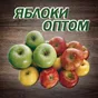 яблоки ОПТОМ в Краснодаре в Краснодаре и Краснодарском крае 4