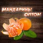 абхазские мандарины ОПТОМ ! в Краснодаре и Краснодарском крае 2