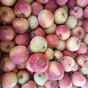 яблоки оптом Гала, 2 сорт 60+ с садов в Краснодаре и Краснодарском крае