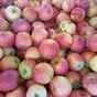 яблоки оптом Гала, 2 сорт 60+ с садов в Краснодаре и Краснодарском крае 3