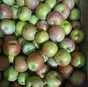 яблоки Джонаголд 1+2сорт калибр 65+ опт в Краснодаре и Краснодарском крае 5