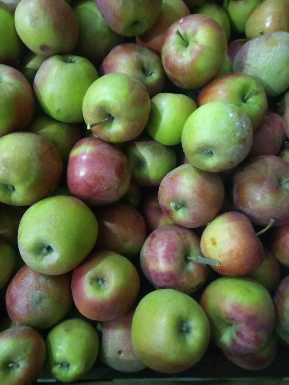 яблоки Джонаголд 1+2сорт калибр 65+ опт в Краснодаре и Краснодарском крае 4