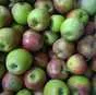 яблоки Джонаголд 1+2сорт калибр 65+ опт в Краснодаре и Краснодарском крае 4