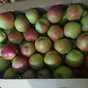 яблоки Джонаголд 1+2сорт калибр 65+ опт в Краснодаре и Краснодарском крае