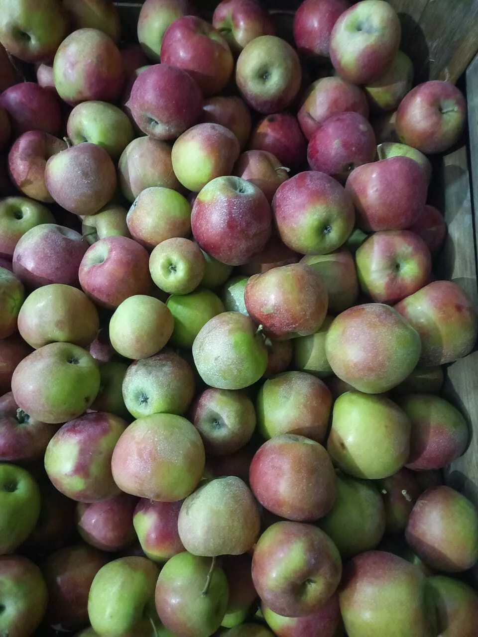 яблоки Джонаголд 1+2сорт калибр 65+ опт в Краснодаре и Краснодарском крае 3
