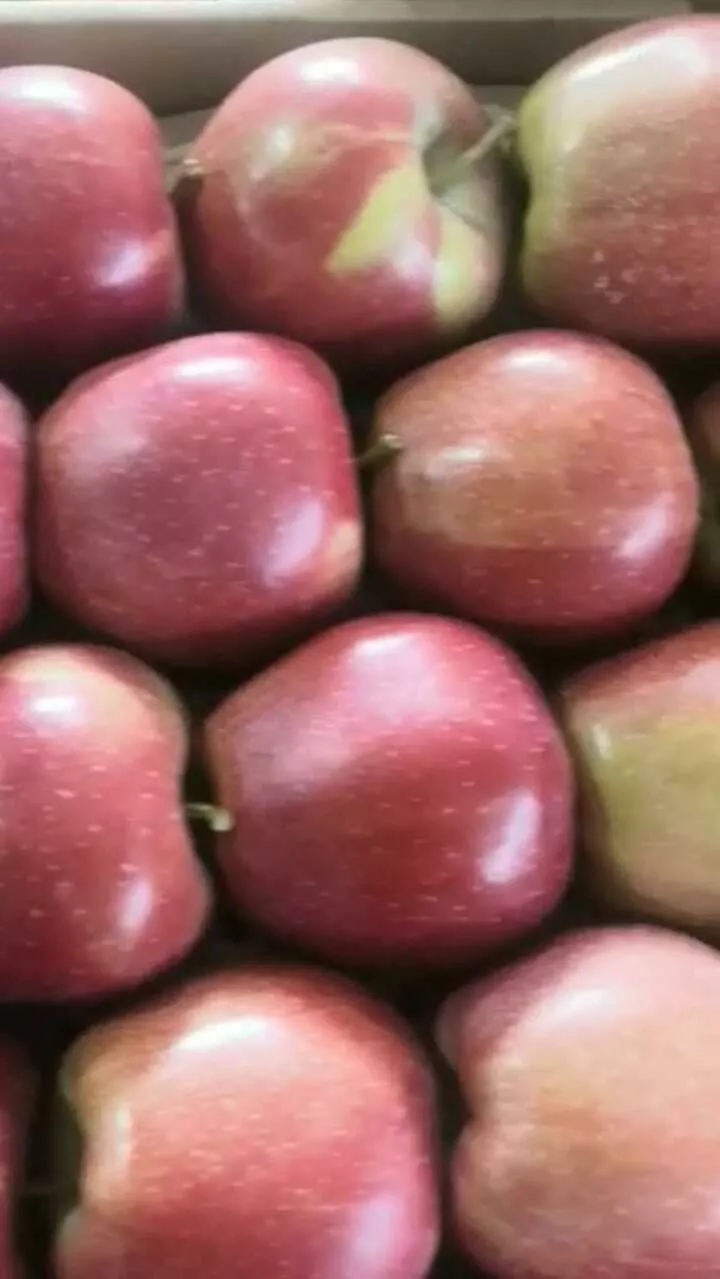 яблоки Джона Принц 1сорт, калибр 75+ опт в Краснодаре и Краснодарском крае 2