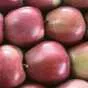 яблоки Джона Принц 1сорт, калибр 75+ опт в Краснодаре и Краснодарском крае 2