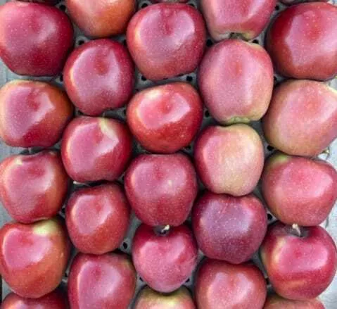 яблоки Ред Делишес 1сорт калибр 65+ опт в Краснодаре и Краснодарском крае 4