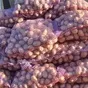 семенной картофель оптом от фермера в Краснодаре и Краснодарском крае 2
