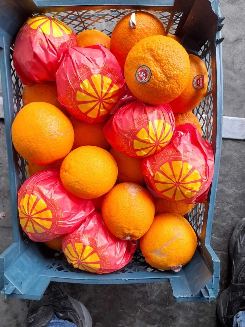 апельсин в Краснодаре