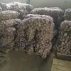картофель на складе в Краснодаре в Краснодаре