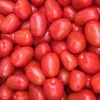 реализуем помидоры Новичок в Краснодаре