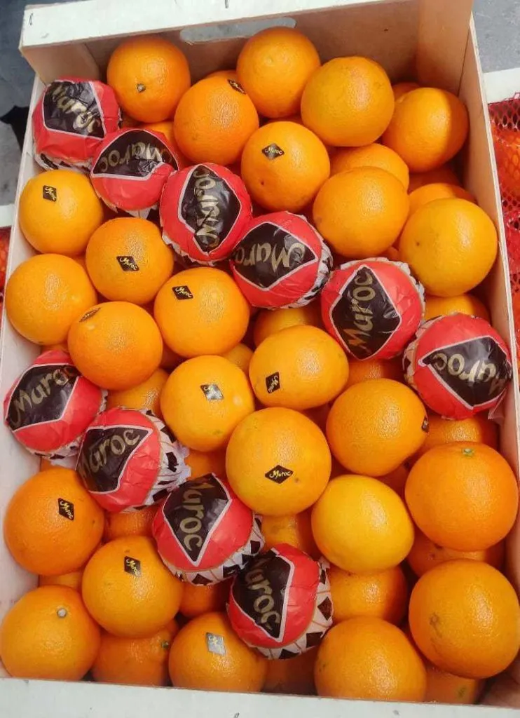 апельсин, Египет в Новороссийске