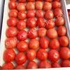 помидоры оптом в Краснодаре 2