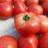 помидоры оптом в Краснодаре