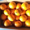апельсин Египет  в Краснодаре