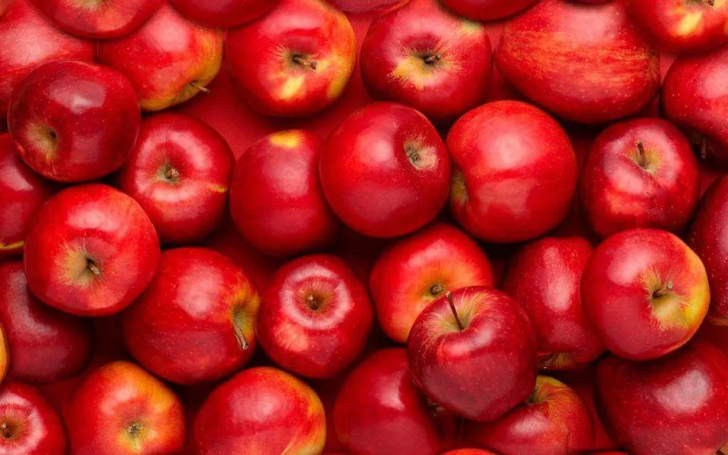 закупаем  яблоки оптом ГОСТ. в Краснодаре 2