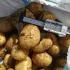 картофель молодой в Краснодаре