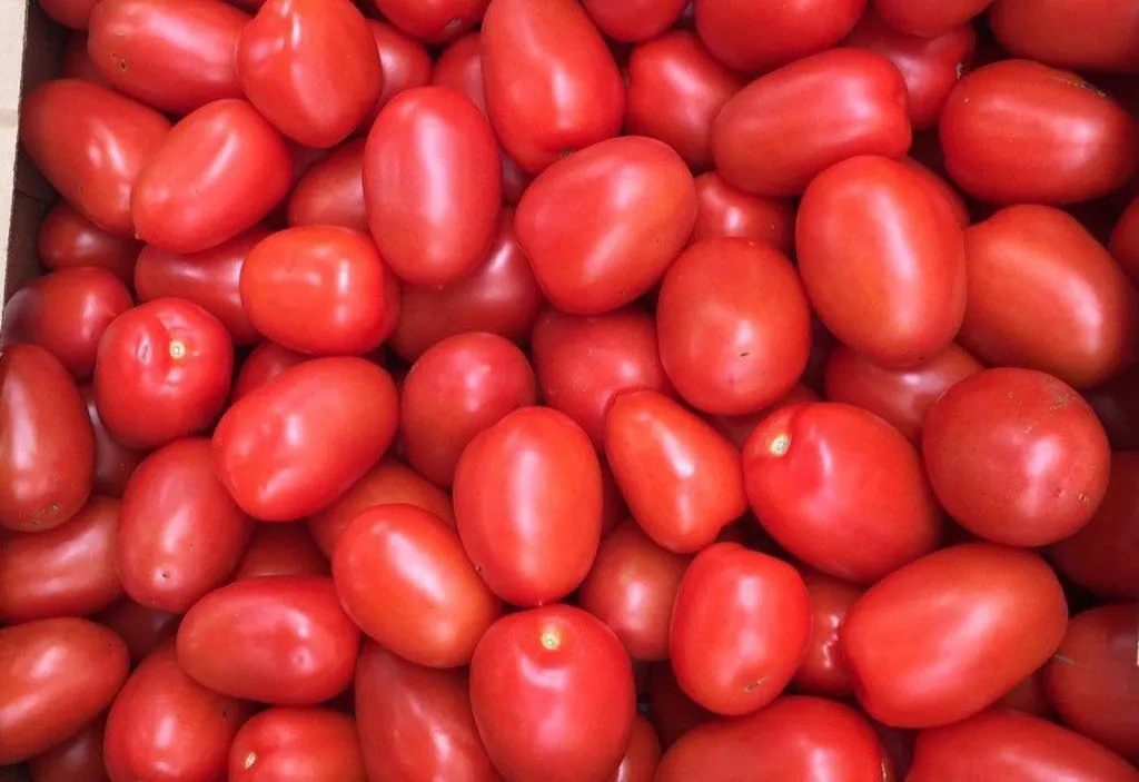 томаты Сливка в Краснодаре